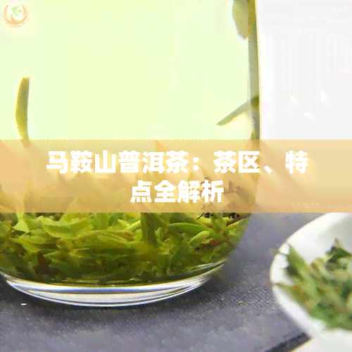 马鞍山普洱茶：茶区、特点全解析