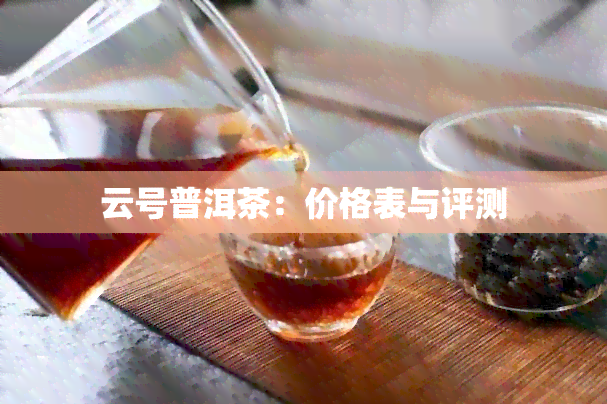 云号普洱茶：价格表与评测