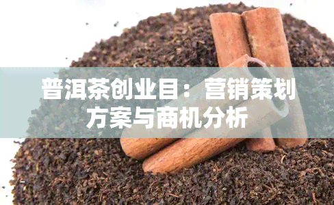 普洱茶创业目：营销策划方案与商机分析