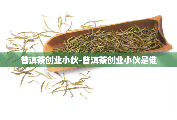 普洱茶创业小伙-普洱茶创业小伙是谁