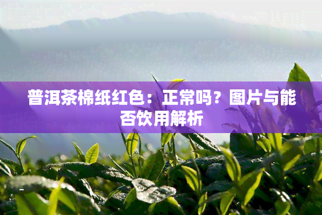 普洱茶棉纸红色：正常吗？图片与能否饮用解析