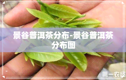 景谷普洱茶分布-景谷普洱茶分布图