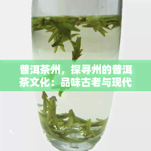 普洱茶州，探寻州的普洱茶文化：品味古老与现代的交融