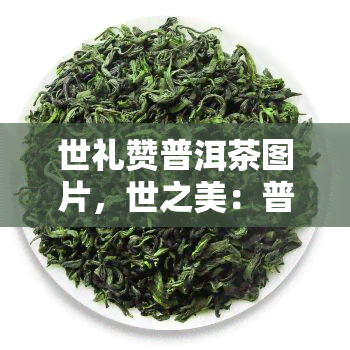 世礼赞普洱茶图片，世之美：普洱茶的独特韵味在图片中得到完美展现