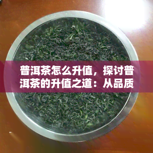 普洱茶怎么升值，探讨普洱茶的升值之道：从品质、存到市场分析