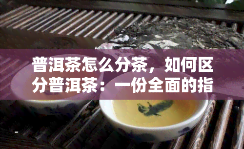 普洱茶怎么分茶，如何区分普洱茶：一份全面的指南