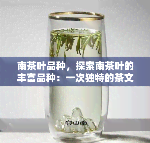 南茶叶品种，探索南茶叶的丰富品种：一次独特的茶文化之旅