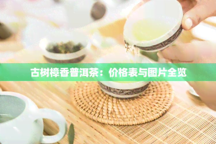 古树樟香普洱茶：价格表与图片全览