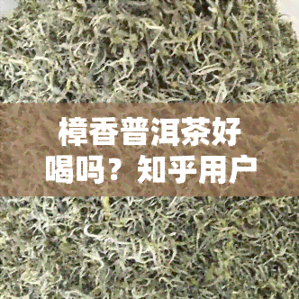 樟香普洱茶好喝吗？知乎用户分享口感体验与评价