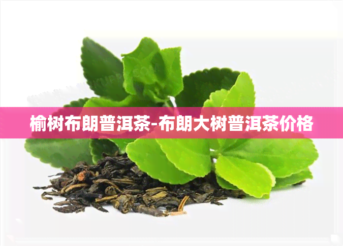 榆树布朗普洱茶-布朗大树普洱茶价格