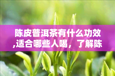 陈皮普洱茶有什么功效,适合哪些人喝，了解陈皮普洱茶的功效与适宜人群