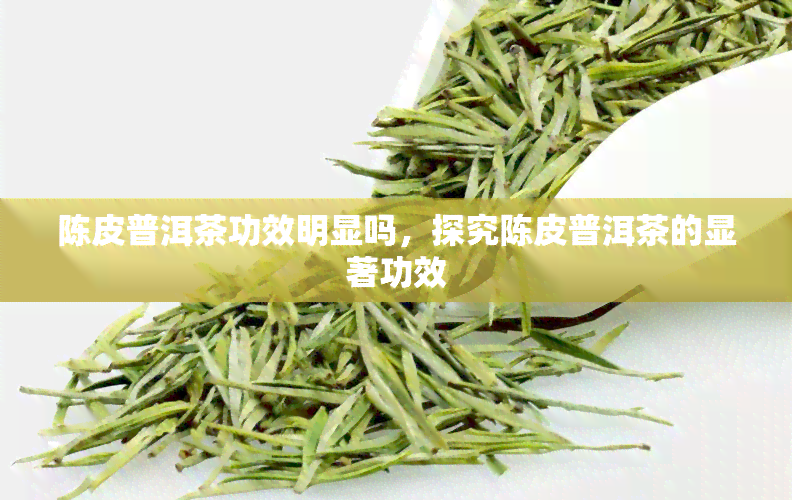 陈皮普洱茶功效明显吗，探究陈皮普洱茶的显著功效