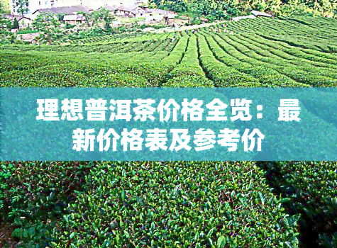 理想普洱茶价格全览：最新价格表及参考价