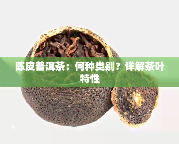 陈皮普洱茶：何种类别？详解茶叶特性