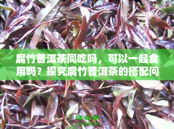 腐竹普洱茶同吃吗，可以一起食用吗？探究腐竹普洱茶的搭配问题