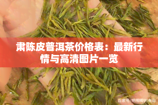 肃陈皮普洱茶价格表：最新行情与高清图片一览