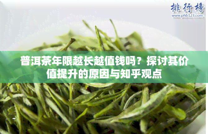 普洱茶年限越长越值钱吗？探讨其价值提升的原因与知乎观点