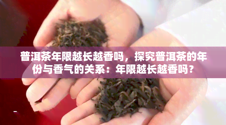 普洱茶年限越长越香吗，探究普洱茶的年份与香气的关系：年限越长越香吗？