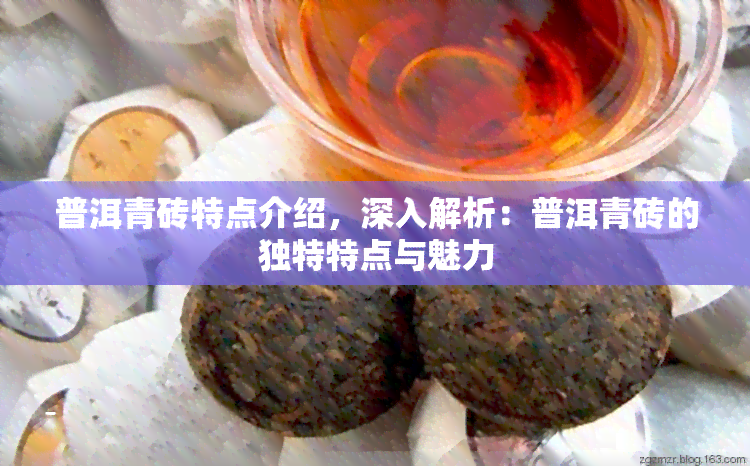 普洱青砖特点介绍，深入解析：普洱青砖的独特特点与魅力