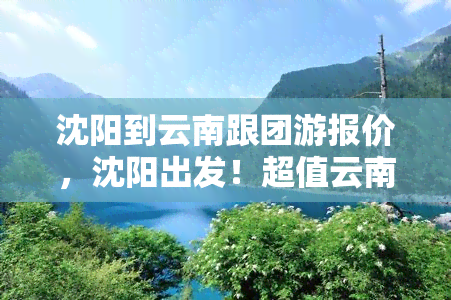 沈阳到云南跟团游报价，沈阳出发！超值云南跟团游报价，带您领略彩云之南的美景！