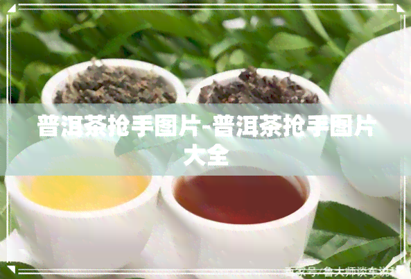 普洱茶抢手图片-普洱茶抢手图片大全