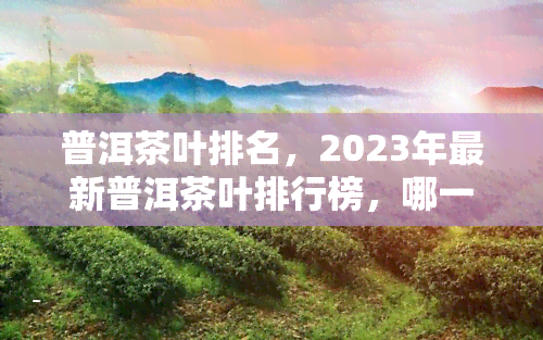 普洱茶叶排名，2023年最新普洱茶叶排行榜，哪一款值得你购买？