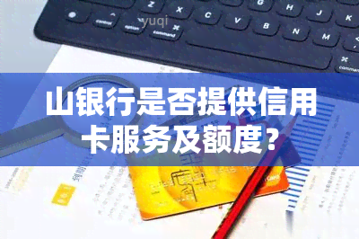 山银行是否提供信用卡服务及额度？