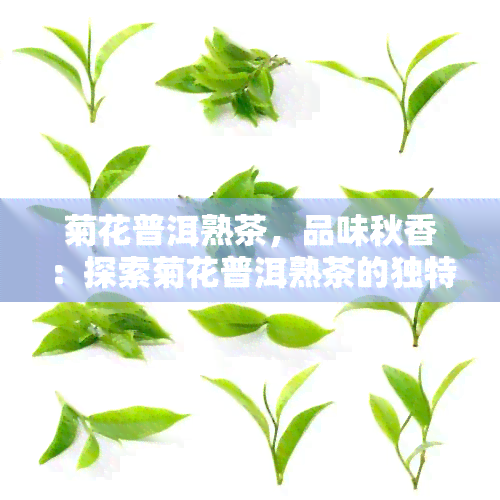 菊花普洱熟茶，品味秋香：探索菊花普洱熟茶的独特魅力