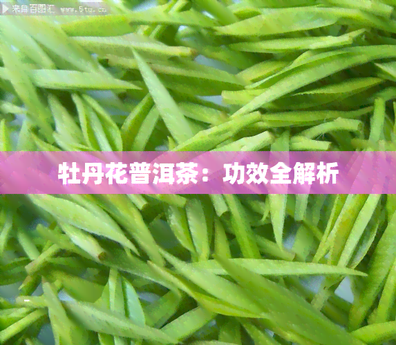 牡丹花普洱茶：功效全解析