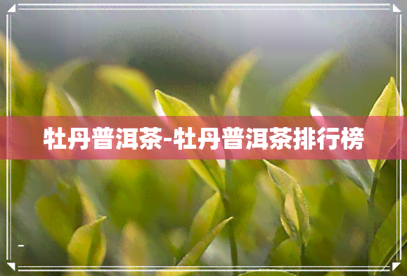 牡丹普洱茶-牡丹普洱茶排行榜