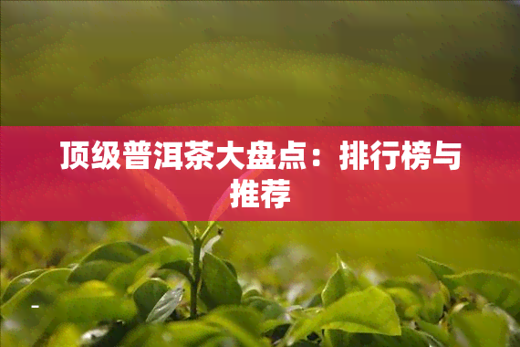 顶级普洱茶大盘点：排行榜与推荐