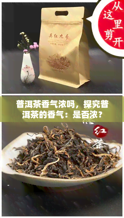 普洱茶香气浓吗，探究普洱茶的香气：是否浓？