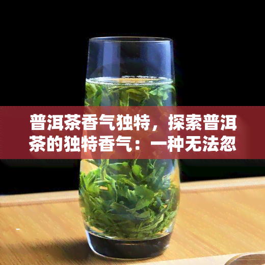 普洱茶香气独特，探索普洱茶的独特香气：一种无法忽视的美妙体验