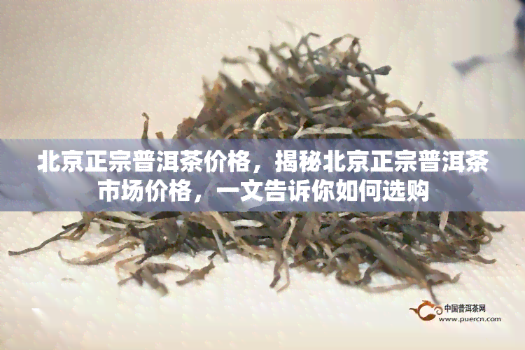 北京正宗普洱茶价格，揭秘北京正宗普洱茶市场价格，一文告诉你如何选购