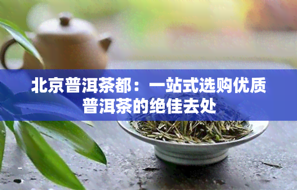 北京普洱茶都：一站式选购优质普洱茶的绝佳去处