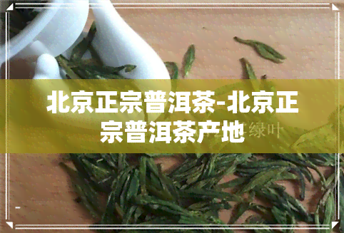 北京正宗普洱茶-北京正宗普洱茶产地