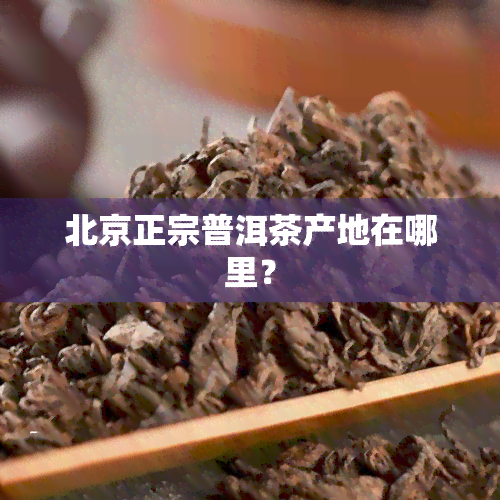 北京正宗普洱茶产地在哪里？