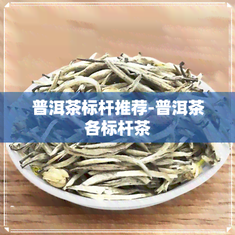 普洱茶标杆推荐-普洱茶各标杆茶