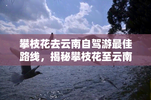 攀枝花去云南自驾游更佳路线，揭秘攀枝花至云南自驾游更佳路线！