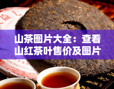 山茶图片大全：查看山红茶叶售价及图片