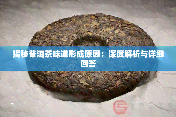 揭秘普洱茶味道形成原因：深度解析与详细回答