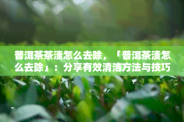 普洱茶茶渍怎么去除，「普洱茶渍怎么去除」：分享有效清洁方法与技巧