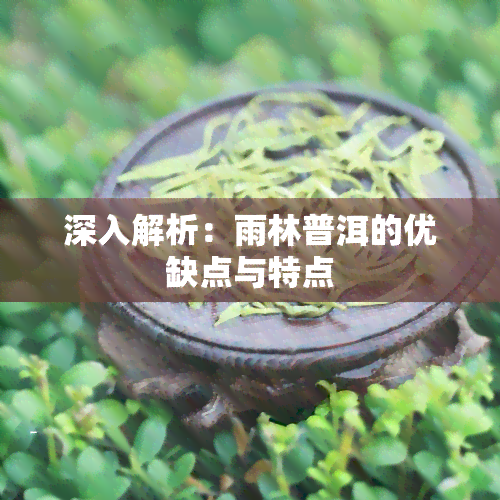 深入解析：雨林普洱的优缺点与特点