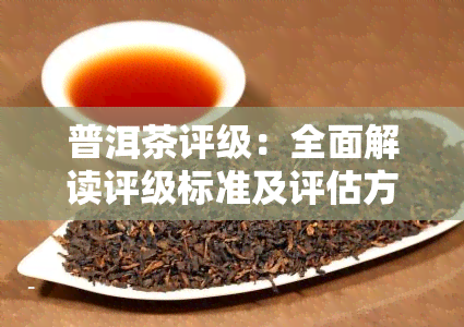 普洱茶评级：全面解读评级标准及评估方法