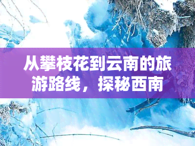 从攀枝花到云南的旅游路线，探秘西南之美：攀枝花至云南的旅游攻略