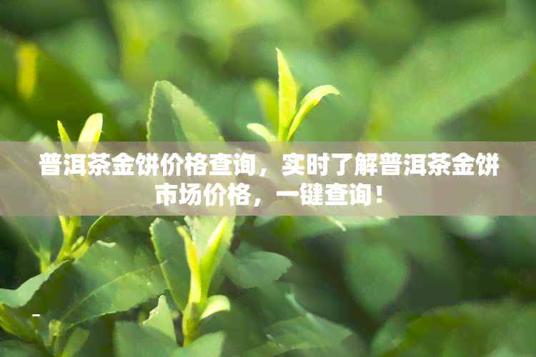 普洱茶金饼价格查询，实时了解普洱茶金饼市场价格，一键查询！