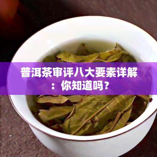 普洱茶审评八大要素详解：你知道吗？