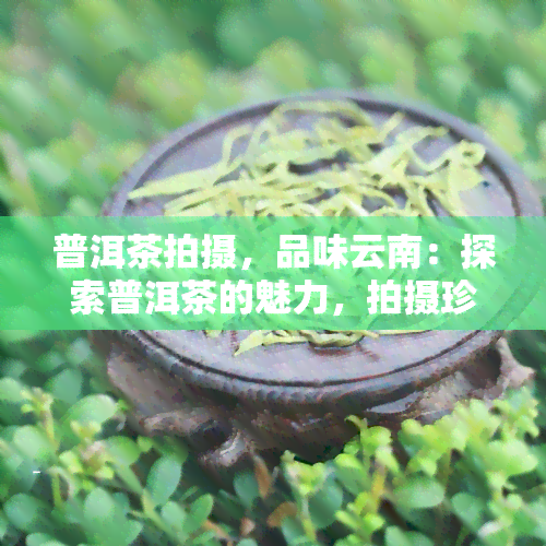 普洱茶拍摄，品味云南：探索普洱茶的魅力，拍摄珍贵瞬间