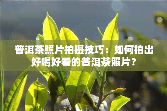 普洱茶照片拍摄技巧：如何拍出好喝好看的普洱茶照片？