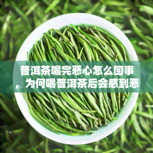 普洱茶喝完恶心怎么回事，为何喝普洱茶后会感到恶心？原因解析